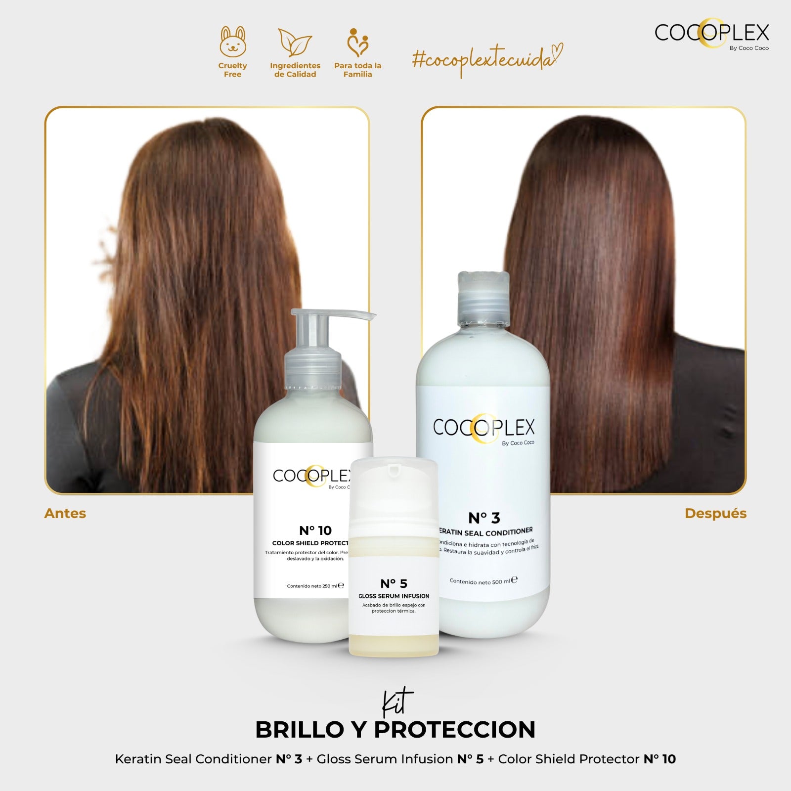 KIT LISO PERFECTO – PROTECCIÓN & BRILLO
